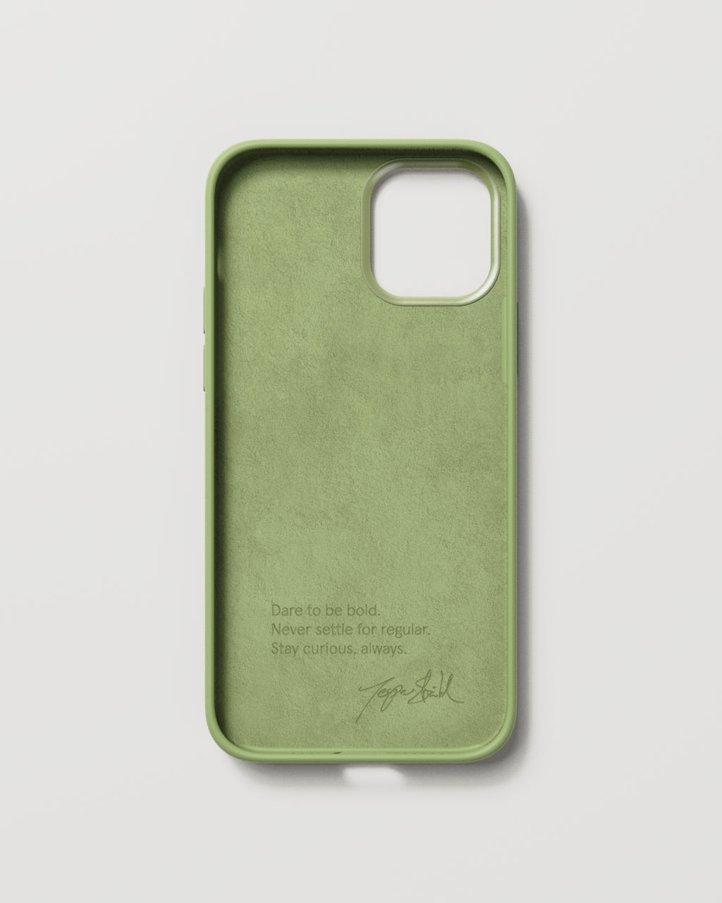 Bold Case Leafy Green iPhone 12 NUDIENT